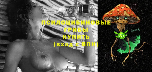 ГАЛЛЮЦИНОГЕННЫЕ ГРИБЫ Баксан