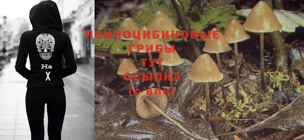 ГАЛЛЮЦИНОГЕННЫЕ ГРИБЫ Баксан